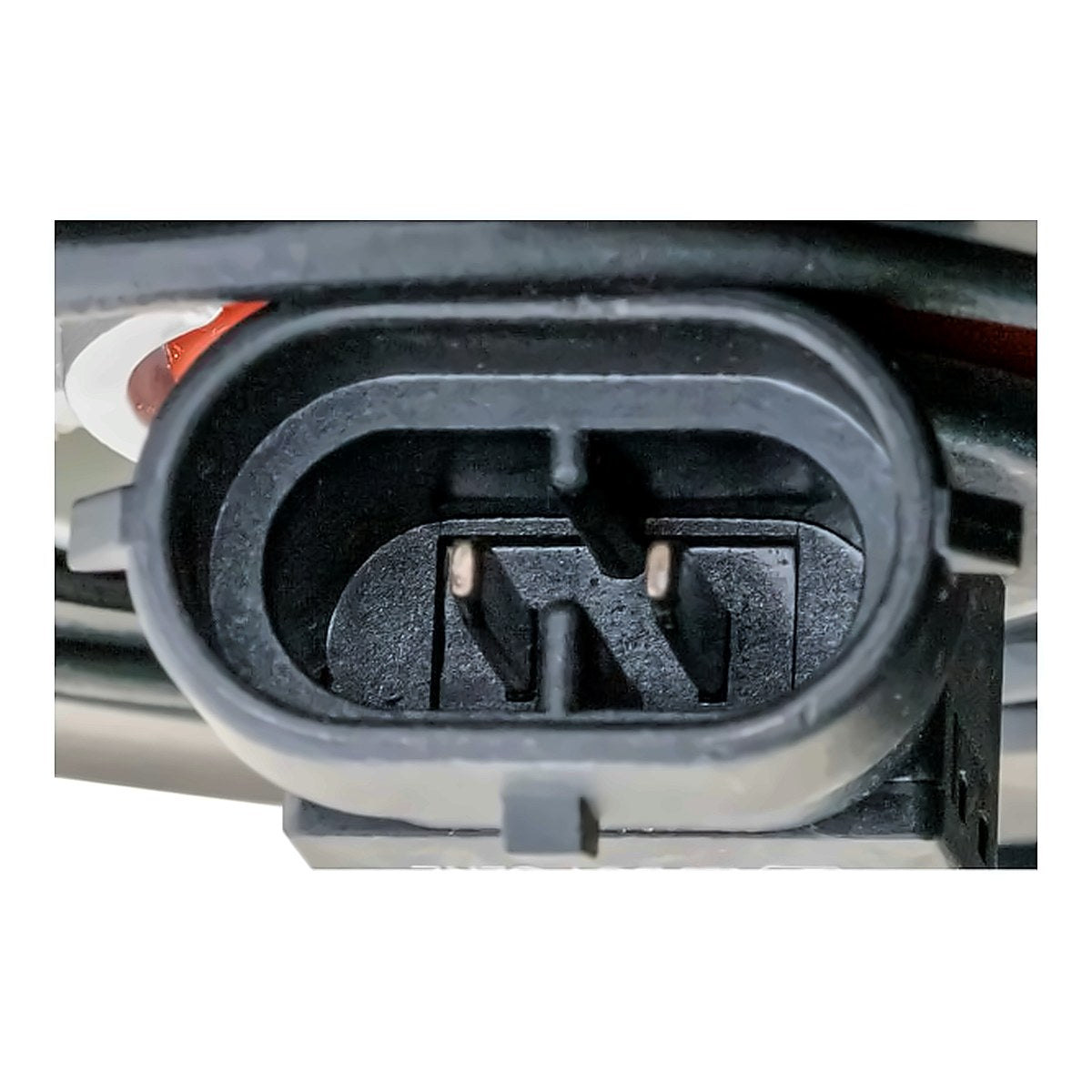 2021-2024 Nissan Kicks - Passenger Side Headlight - connector view, Part NI2503283