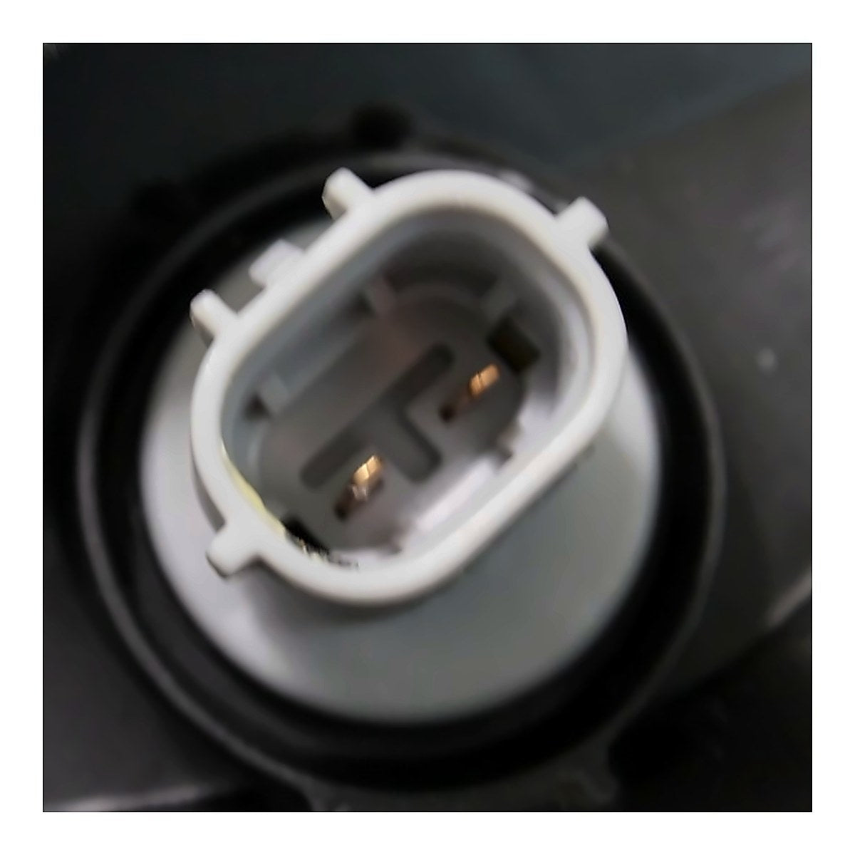 2016-2019 Toyota Tacoma - Driver Side Headlight - connector view, Part TO2502242