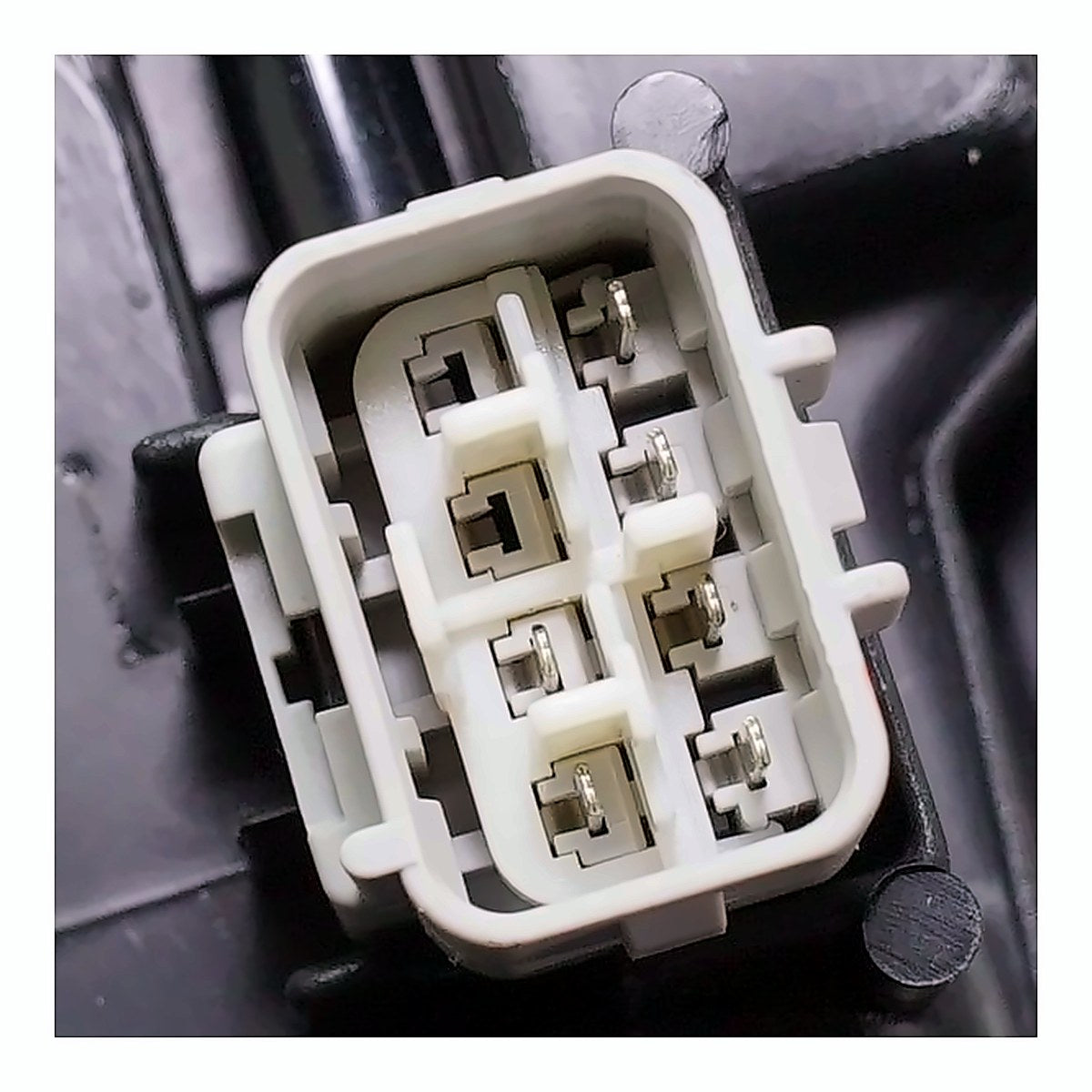 2018-2021 Toyota Tundra - Driver Side Headlight - connector view, Part TO2502263