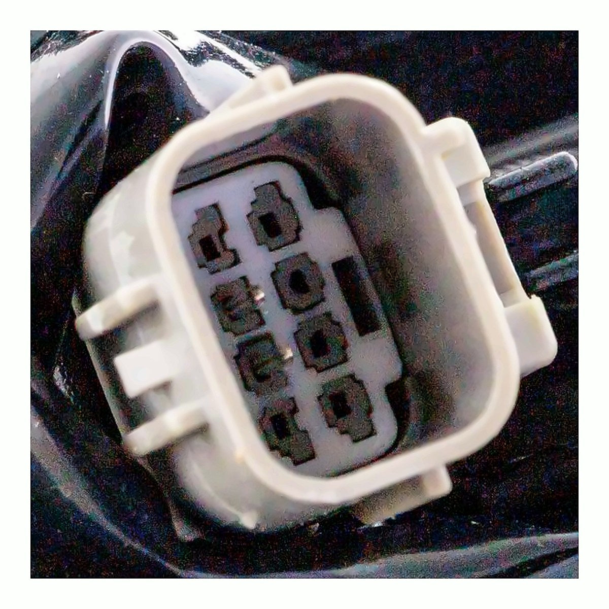 2020-2022 Toyota Corolla Sedan - Driver Side Headlight - connector view, Part TO2502287
