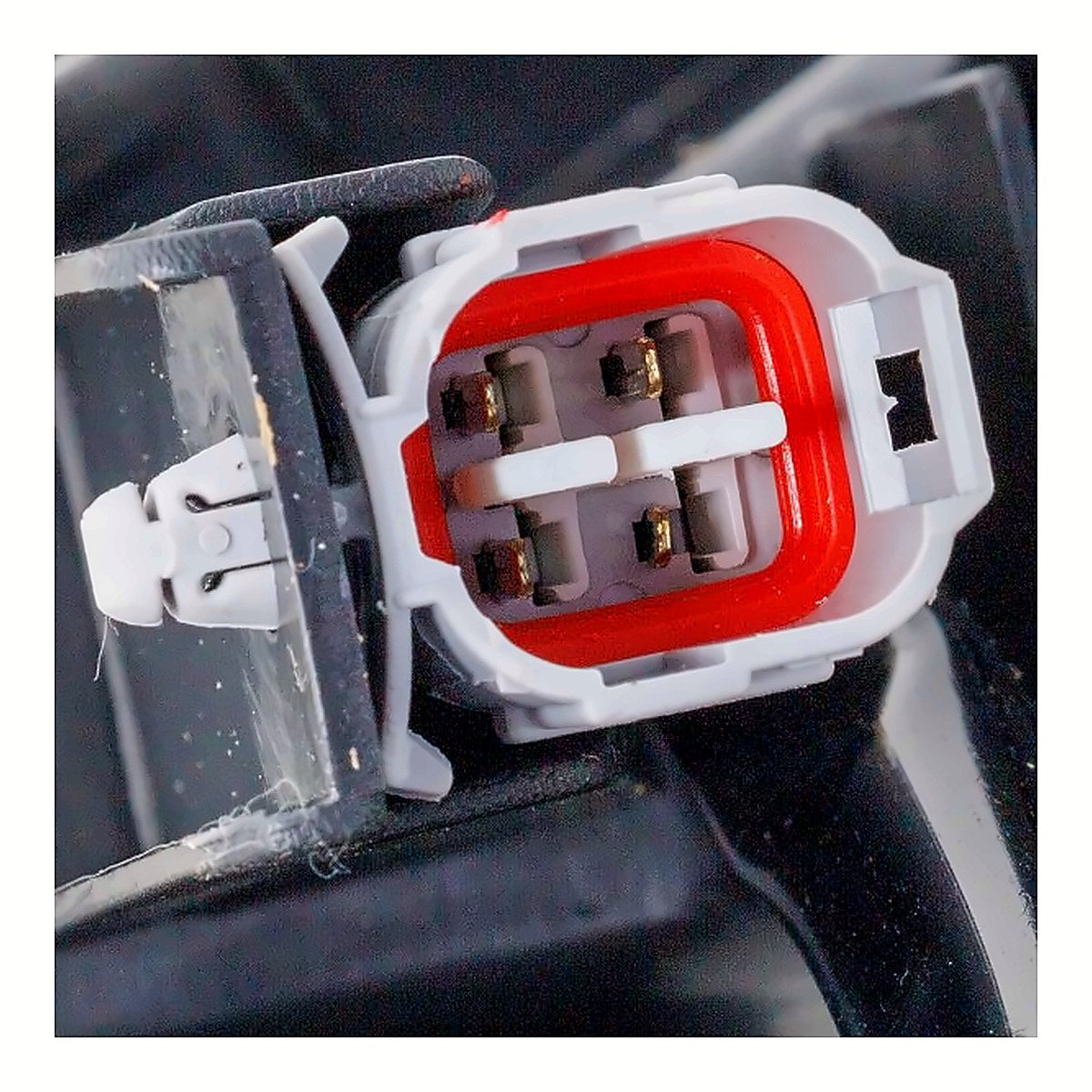 2017-2019 Toyota Highlander - Passenger Side Headlight - connector view, Part TO2503253
