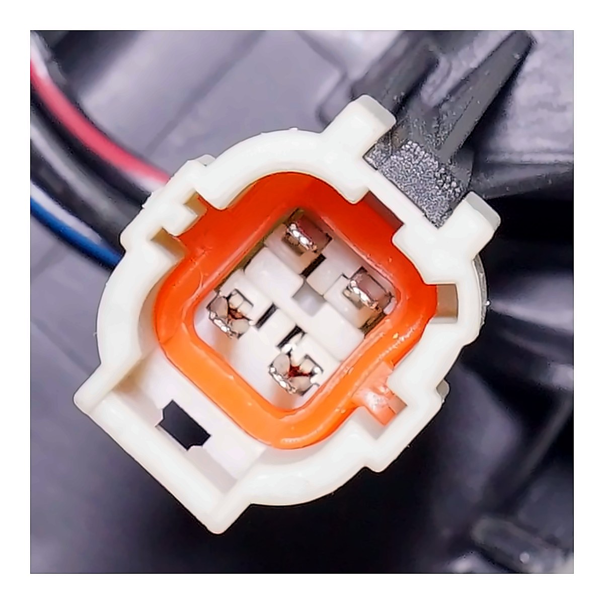 2020-2025 Nissan Sentra - Driver Side Headlight - connector view, Part NI2502276