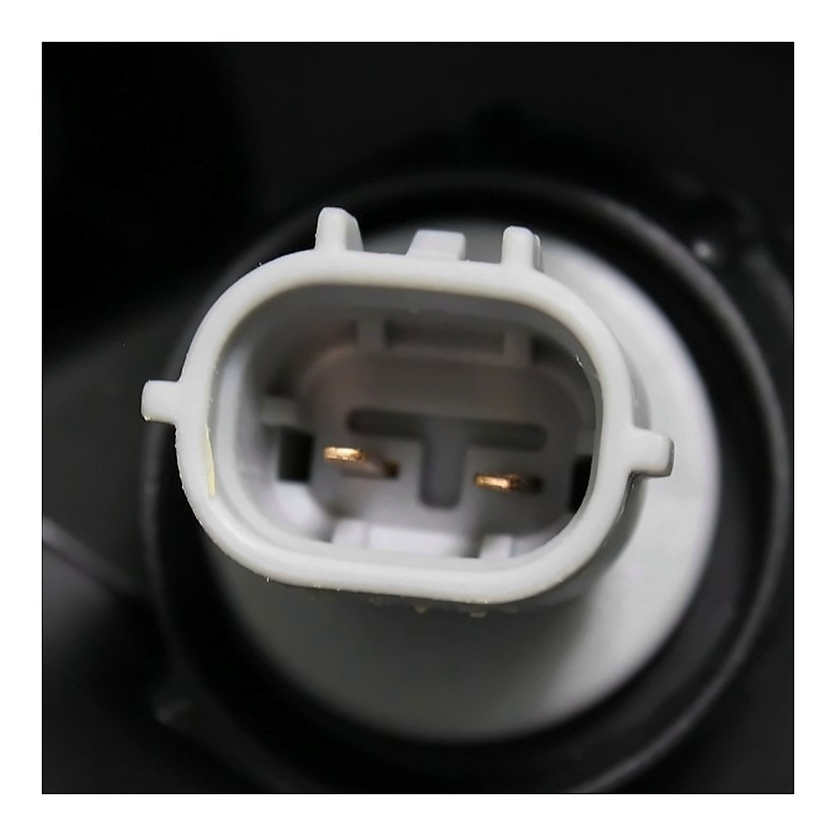 2016-2019 Toyota Tacoma - Driver Side Headlight - rear detail view, Part TO2502243