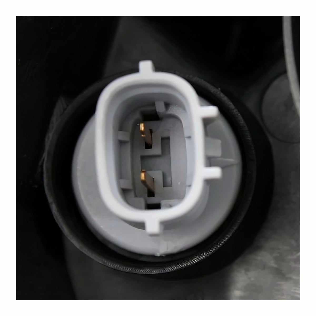 2015-2023 Toyota Tacoma - Driver Side Headlight - rear detail view, Part TO2502244