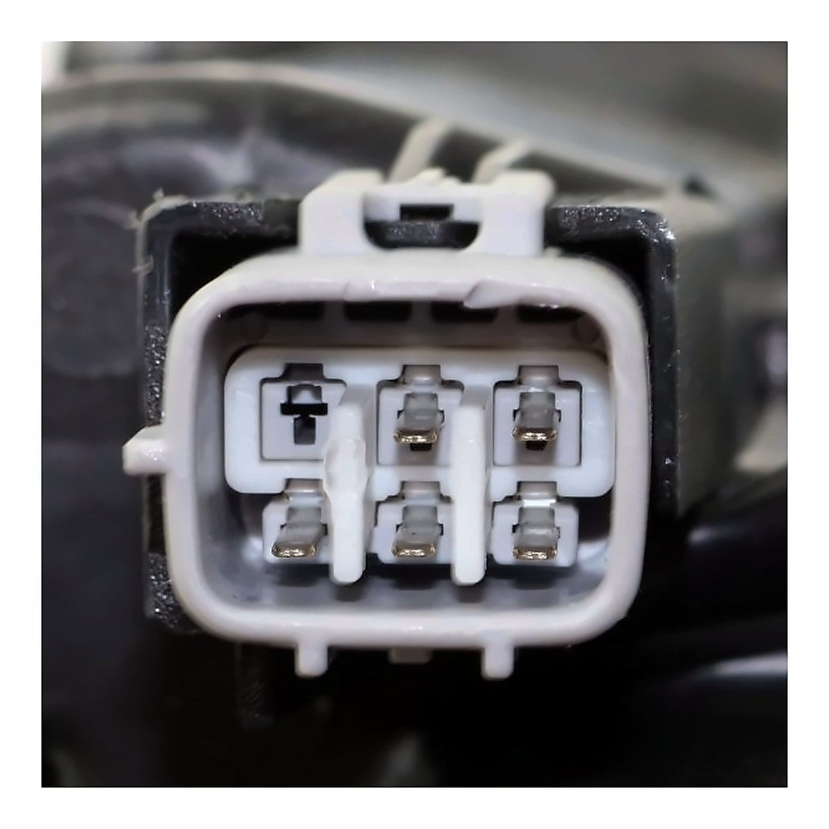 2017-2019 Toyota Corolla Sedan - Driver Side Headlight - connector view, Part TO2502249