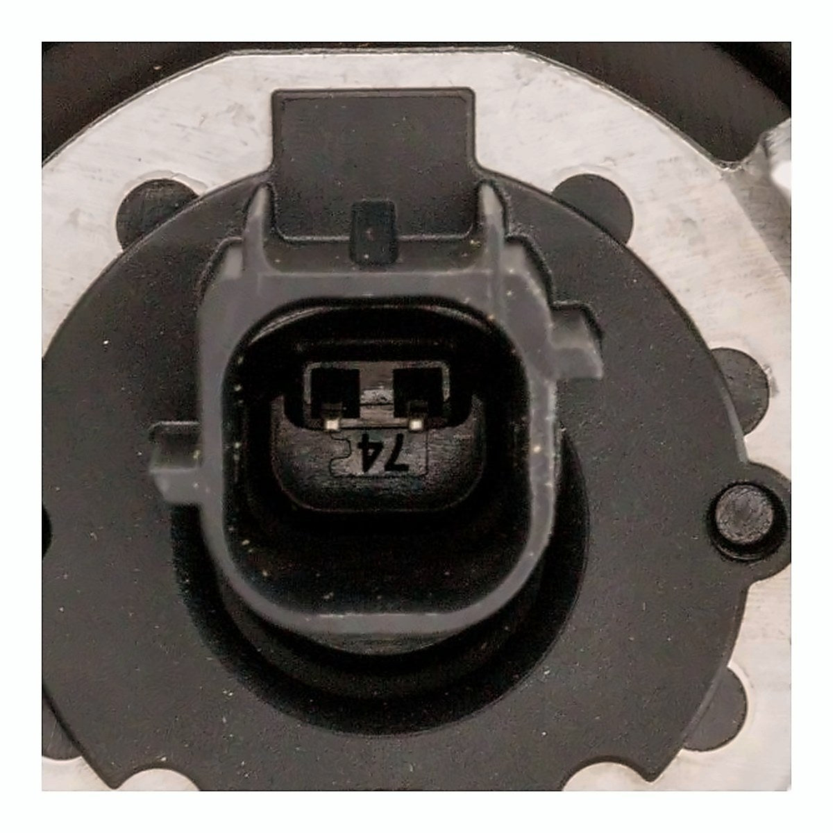 2021-2026 Toyota Sienna - Driver Side Headlight - connector view, Part TO2502307