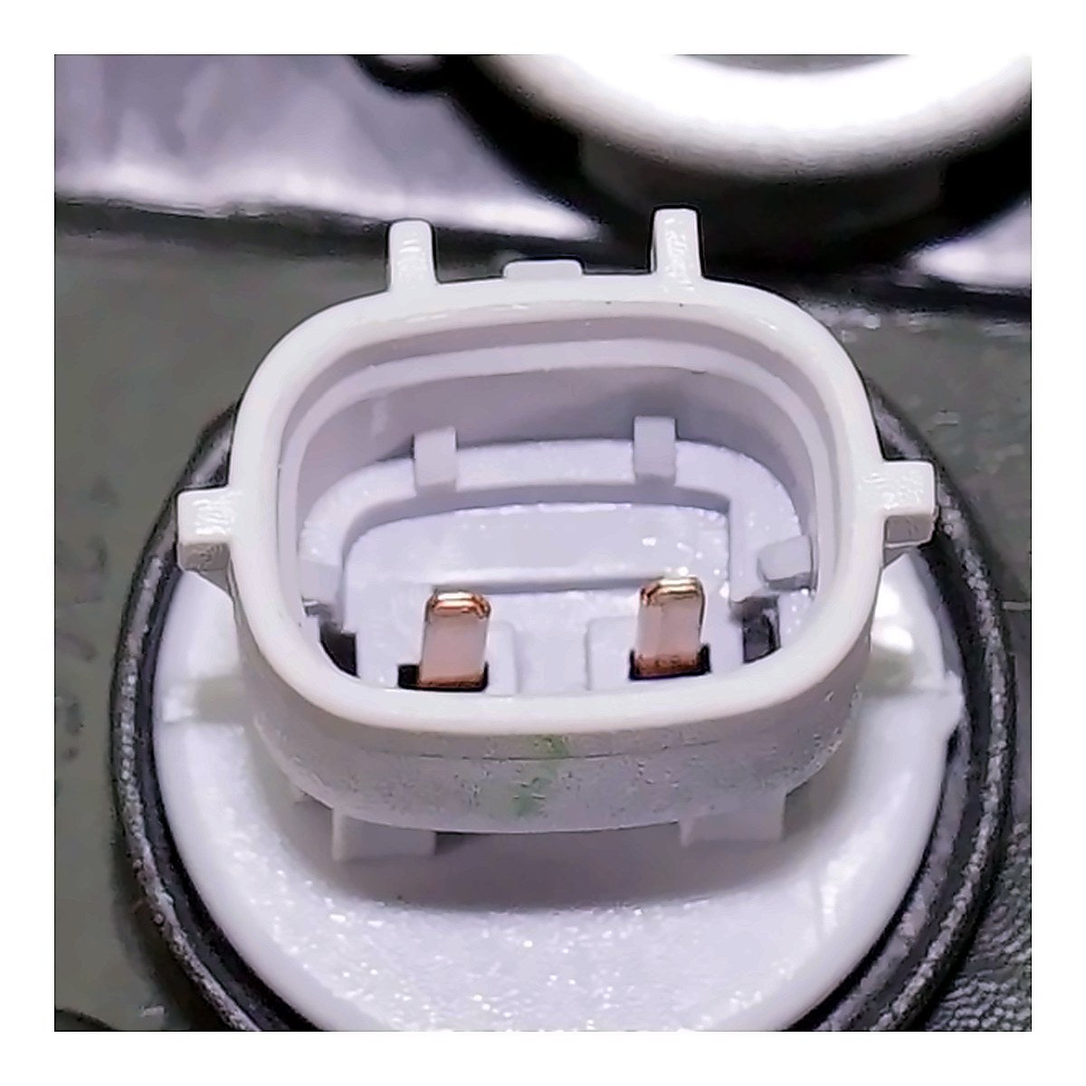 2018-2021 Toyota Tundra - Passenger Side Headlight - connector view, Part TO2503262