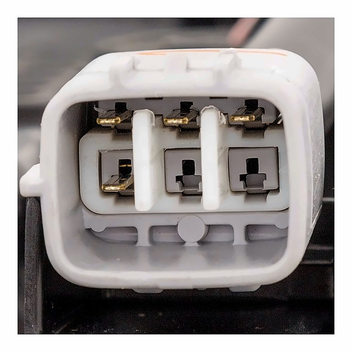 2021 Toyota Highlander - Passenger Side Headlight - connector view, Part TO2503302