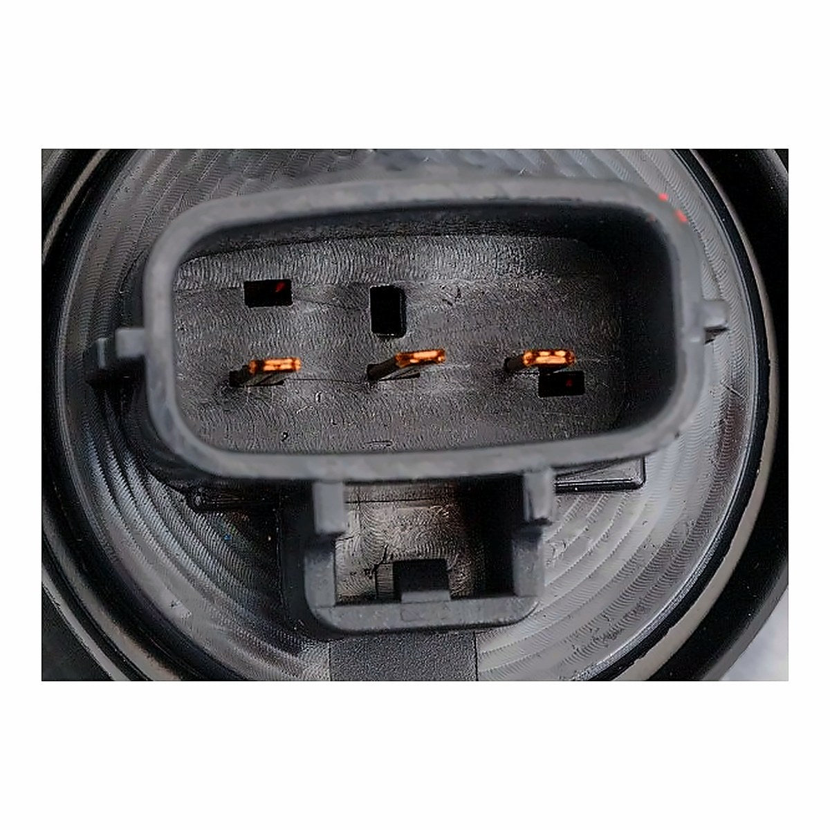 2020-2023 Toyota Tacoma - Driver Side Tail Light - connector view, Part TO2800207
