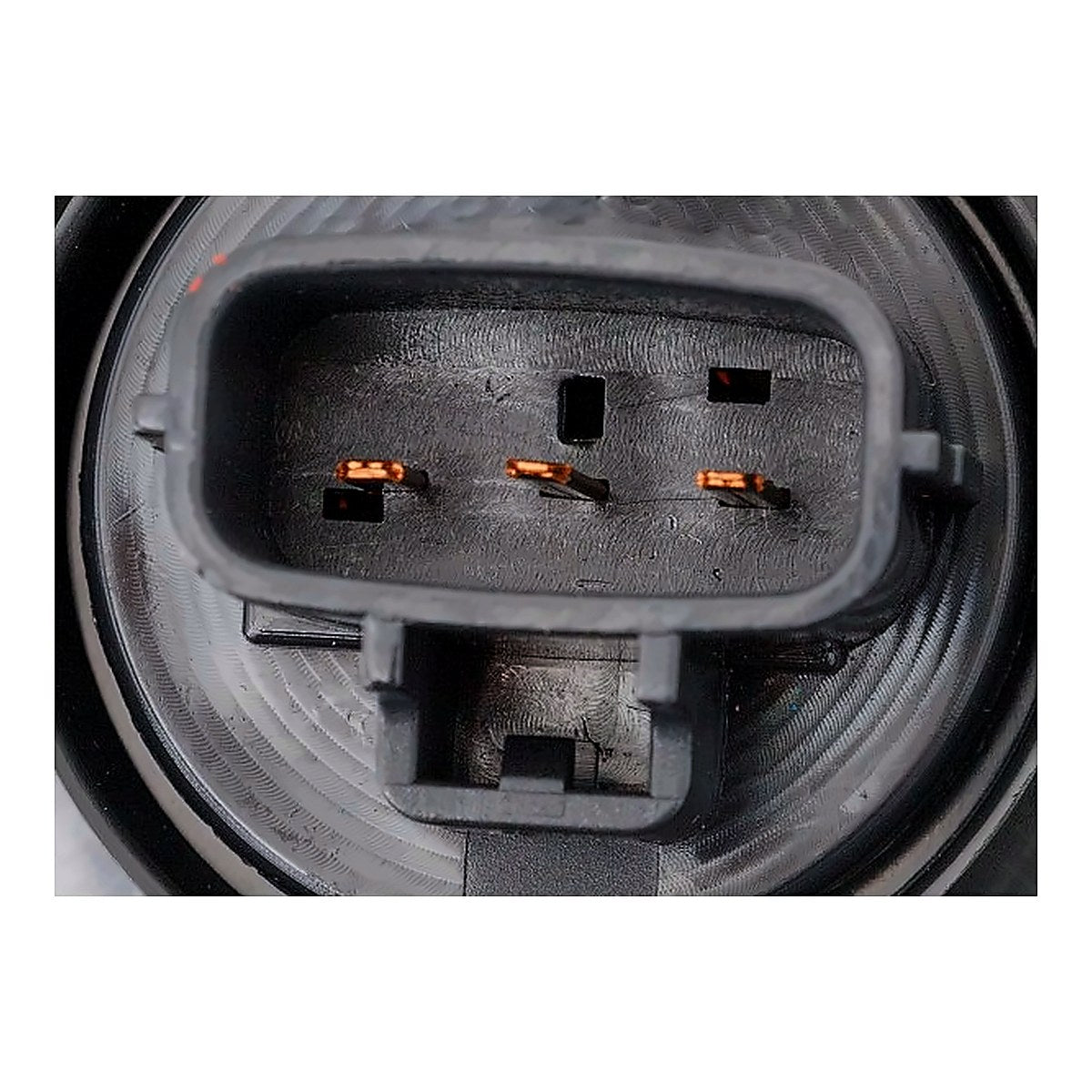 2020-2023 Toyota Tacoma - Passenger Side Tail Light - connector view, Part TO2801207