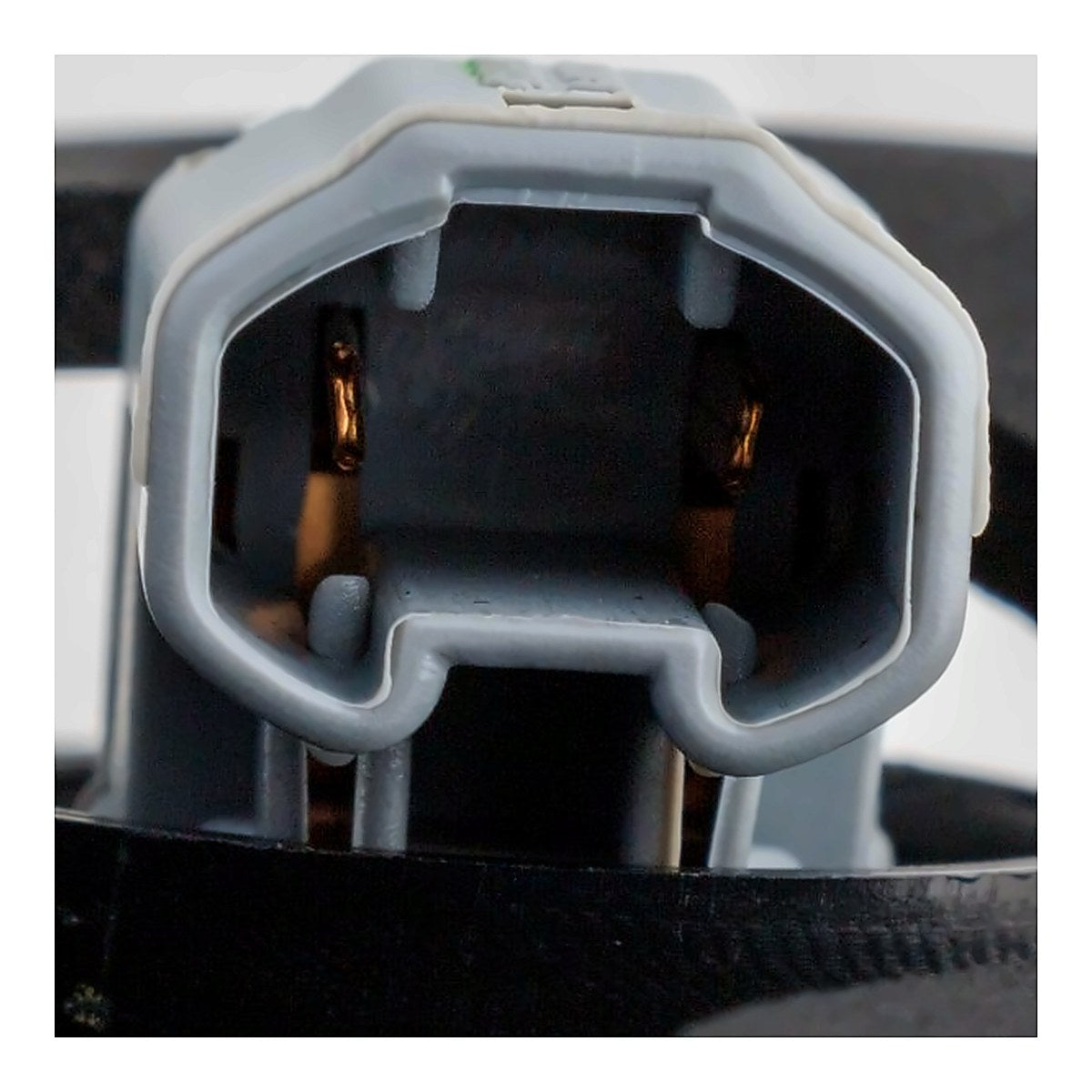 2021-2024 Toyota Camry - Driver Side Tail Light - connector view, Part TO2802159