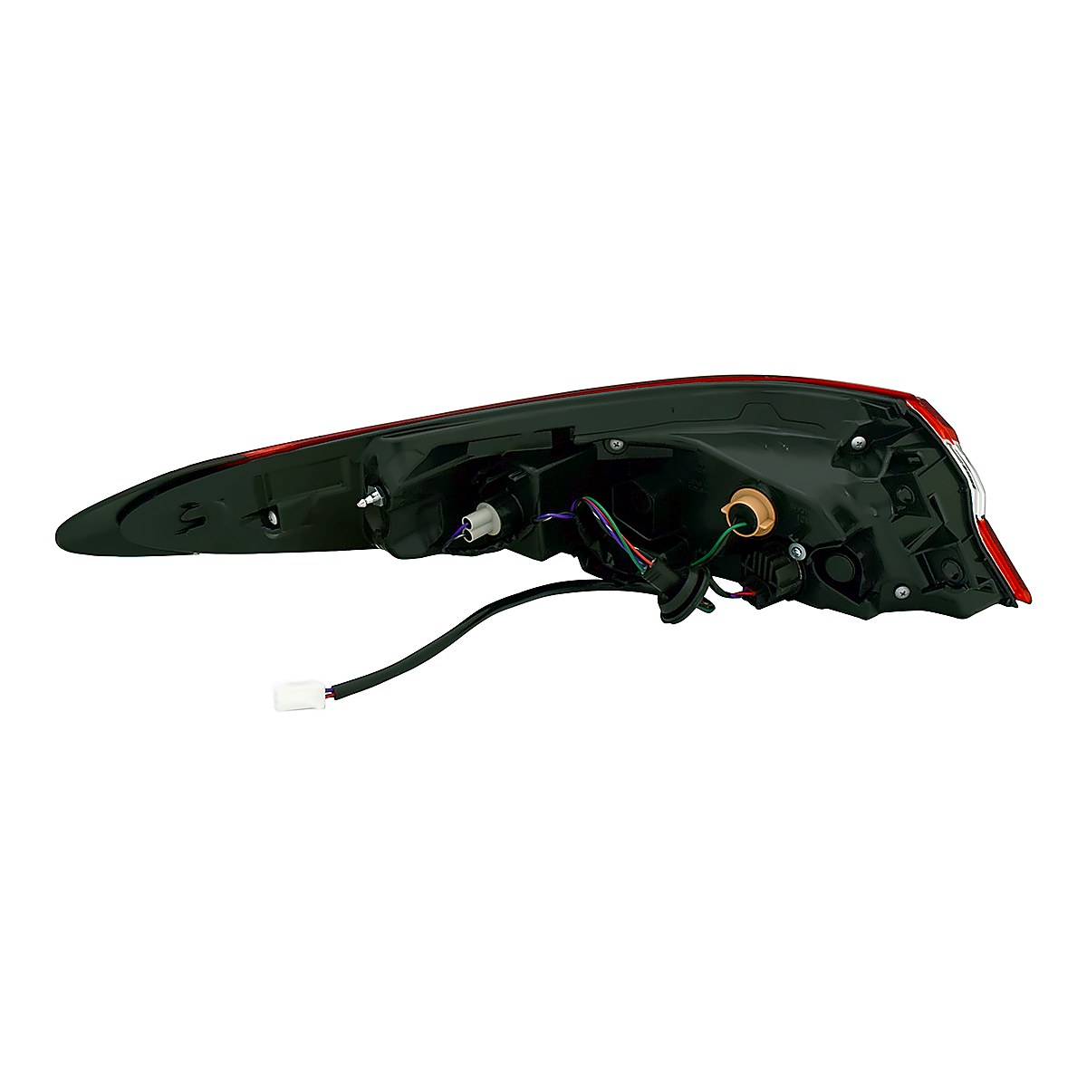 2021-2024 Toyota Camry - Passenger Side Tail Light - connector view, Part TO2805159